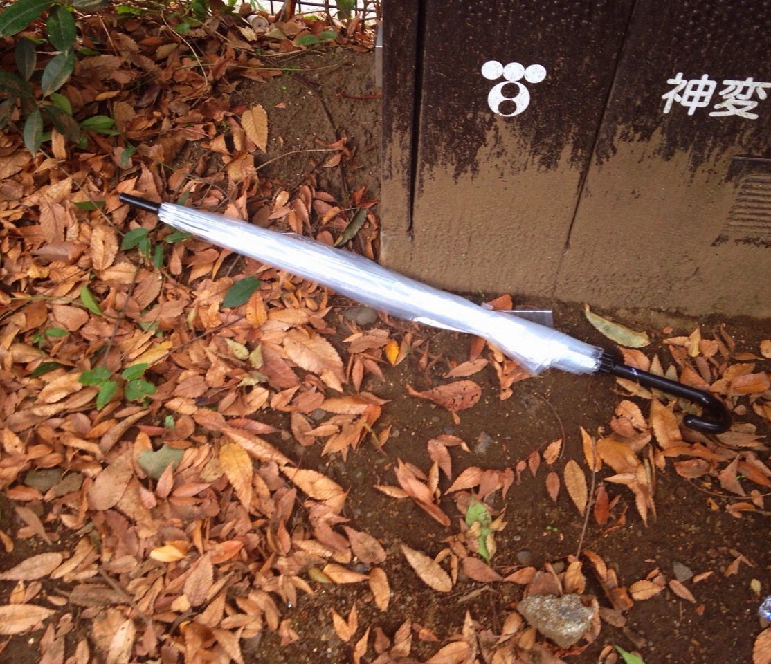 Oktober 22.2014. Tokyo,Japan. Paul Zieltjens.