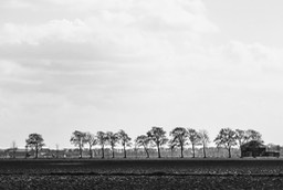 On the road Nederland.