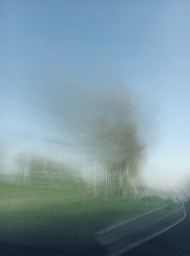 on the road. Trees 