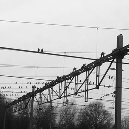 On the wire