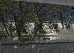 Paris in a puddle