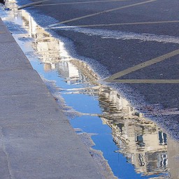 Paris in a puddle