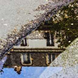 Paris in a puddle