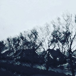 Rainy day from the car