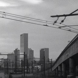 Rotterdam