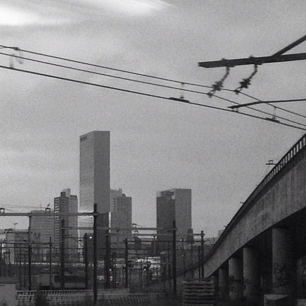 Rotterdam