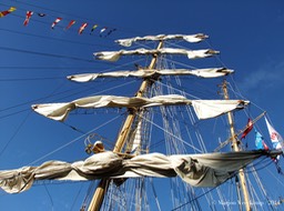 Sail 2010. Amsterdam+
