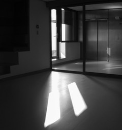 shadows 2