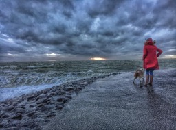 stormy weather