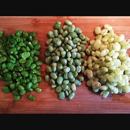 #tuinboontjes dubbel doppen #broadbeans