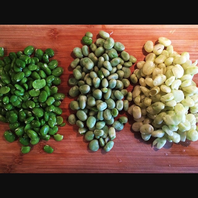 #tuinboontjes dubbel doppen #broadbeans