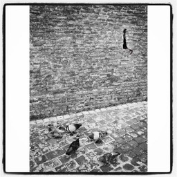 Vatican City. Fred van Groningen. May 2. 2013