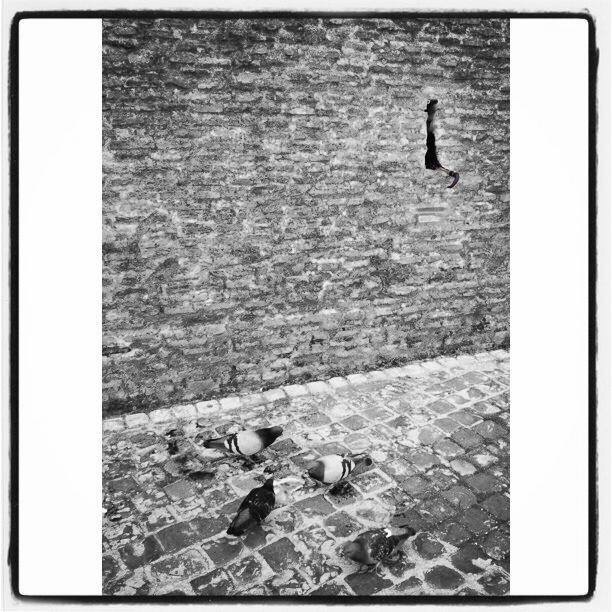Vatican City. Fred van Groningen. May 2. 2013