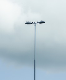 vergadering