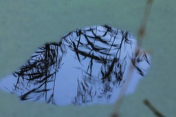 weerspiegeling
