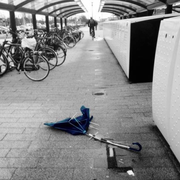 Wormerveer. Narda de WIt. February 6. 2013
