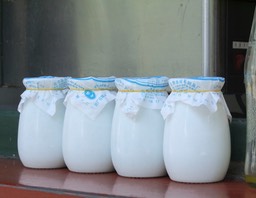yoghurt