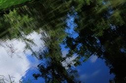 Zomerdag - Summersday